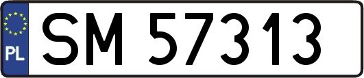SM57313