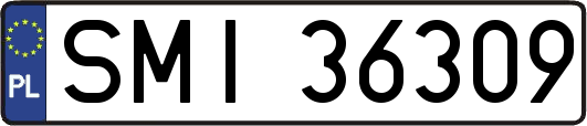 SMI36309