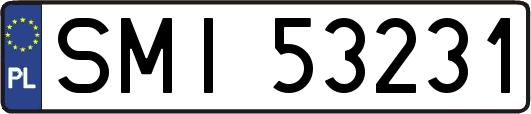 SMI53231