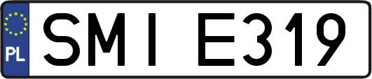 SMIE319