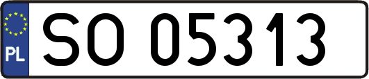 SO05313