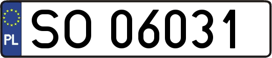 SO06031