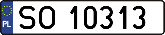 SO10313