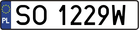 SO1229W
