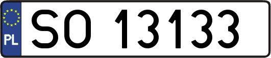SO13133