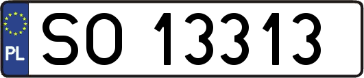 SO13313