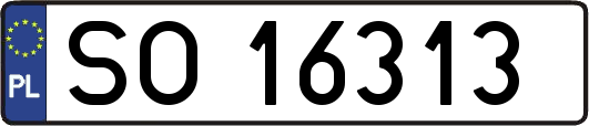 SO16313