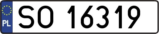 SO16319
