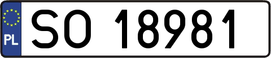SO18981