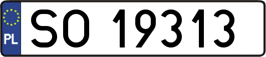SO19313