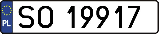SO19917