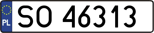 SO46313