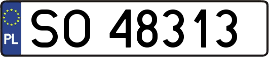 SO48313