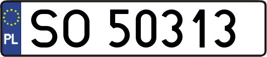 SO50313