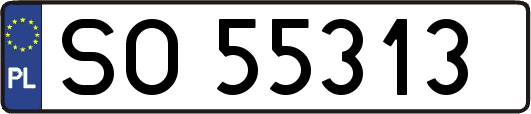 SO55313