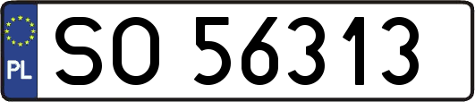 SO56313