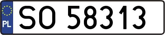 SO58313