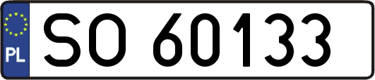 SO60133