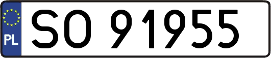 SO91955