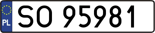 SO95981