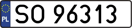 SO96313