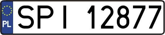 SPI12877