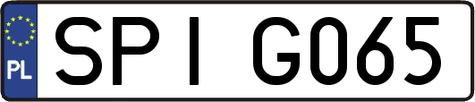 SPIG065