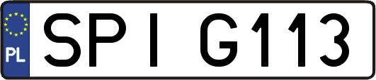 SPIG113