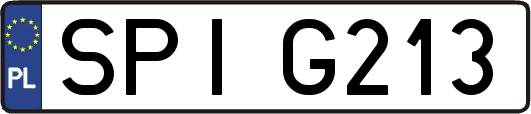 SPIG213