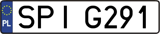 SPIG291