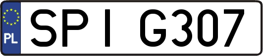 SPIG307