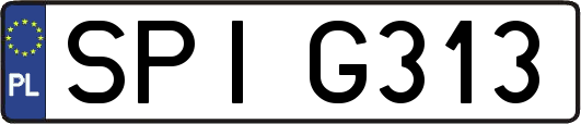 SPIG313