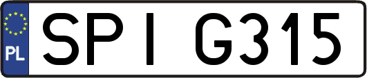 SPIG315