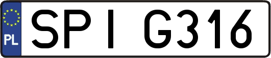 SPIG316