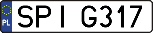 SPIG317