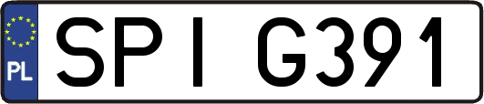SPIG391