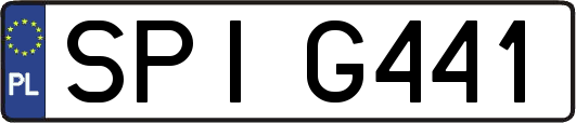 SPIG441
