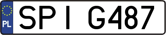 SPIG487