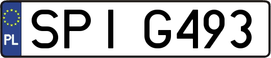 SPIG493