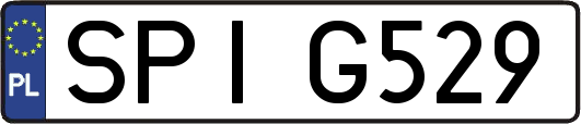 SPIG529