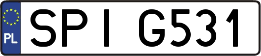 SPIG531