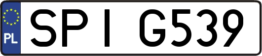 SPIG539