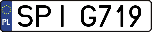 SPIG719
