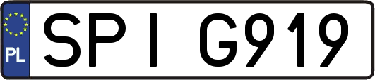 SPIG919
