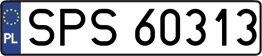 SPS60313