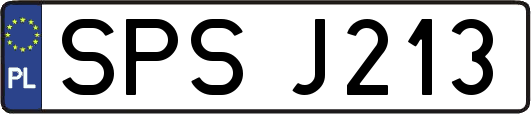 SPSJ213