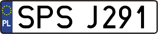 SPSJ291