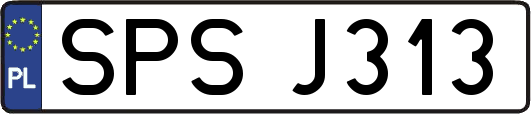 SPSJ313