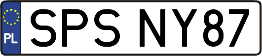 SPSNY87