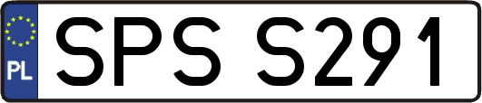 SPSS291